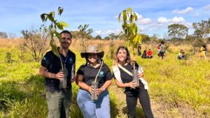Grupo da UnB amplia atuação em 37 municípios com foco em inovação e fortalecimento da agricultura familiar