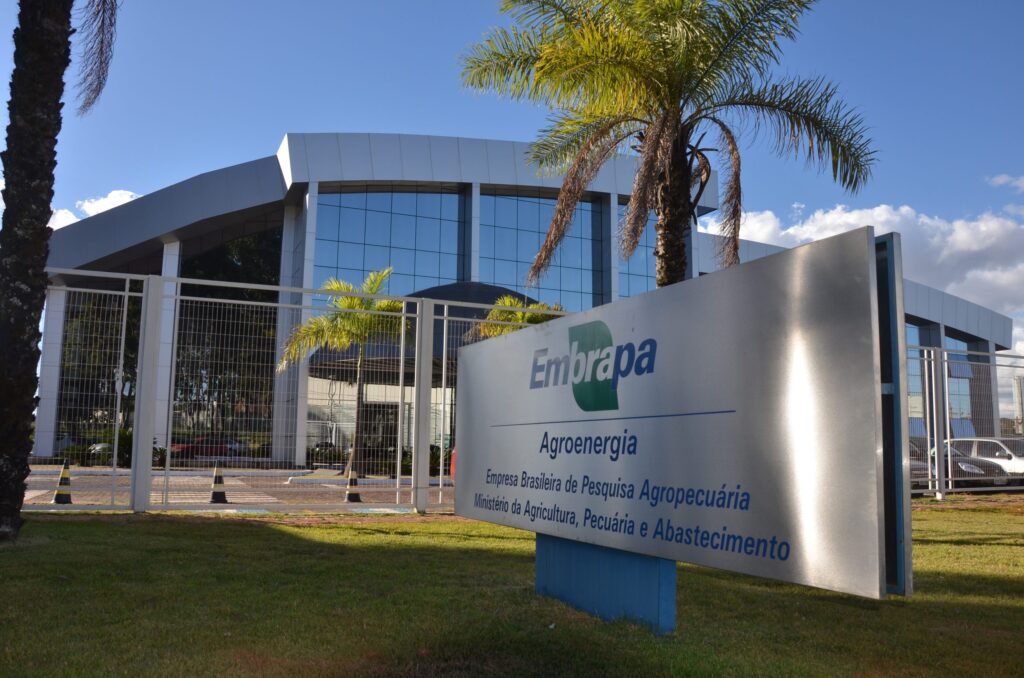 Embrapa volta à África e diz que Brasil precisa vender tecnologia, além de commodities