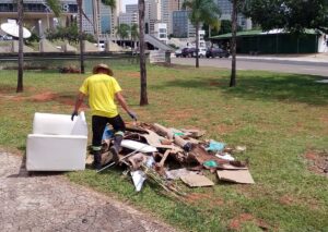 Mutirão remove 270 toneladas de resíduos no Plano Piloto para o Carnaval