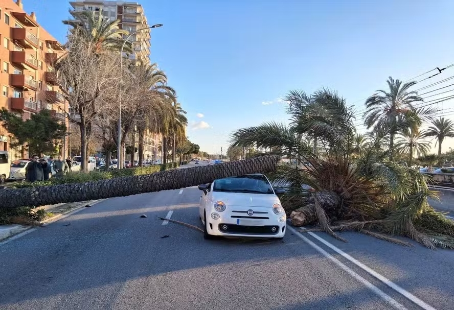 Ventos fortes deixam vários feridos na Catalunha