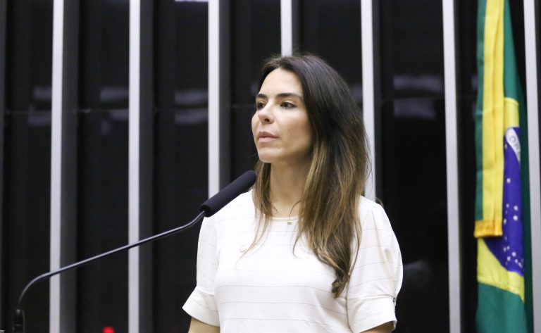 Discussão e votação de propostas legislativas. Dep. Any Ortiz (CIDADANIA - RS)