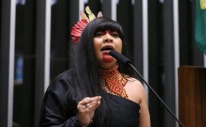 Discussão e votação de propostas legislativas. Dep. Célia Xakriabá (PSOL - MG)