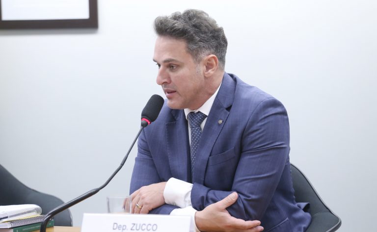 Comissão aprova projeto para subsidiar compra de primeira arma de fogo