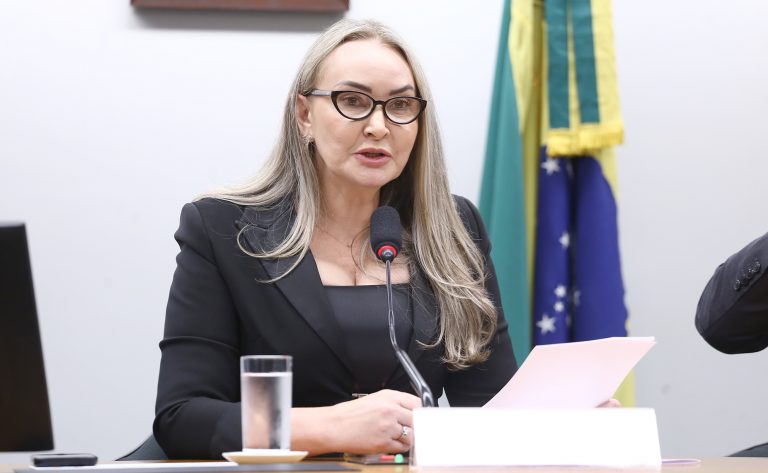 Daniela Reinehr assume presidência da Comissão de Turismo e anuncia plano nacional