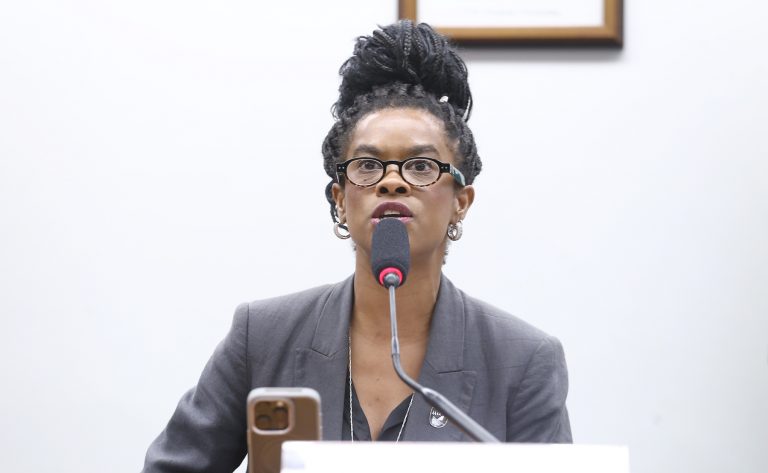 Carol Dartora é eleita presidente da Comissão de Cultura da Câmara