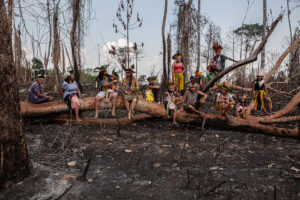 ONGs pedem que STF barre obras com emendas causadoras de desmate e invasão de terras indígenas
