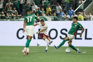 Palmeiras vence Fluminense e se mantém na liderança do Brasileirão - destaque galeria