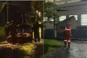 ‘Todo ano é essa vida’, lamenta desabrigada após chuvas no litoral de SP