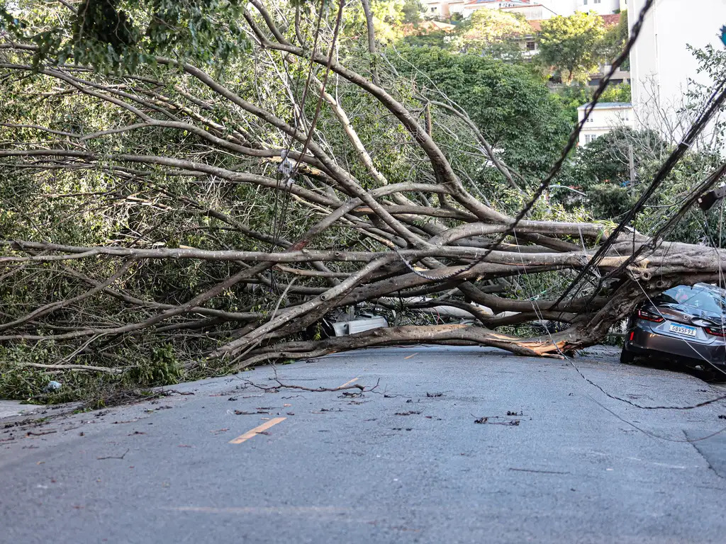 DF aprova procedimentos obrigatórios para emergências ambientais
