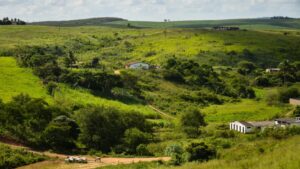 Justiça suspende leilão de imóvel em conflito fundiário em Pernambuco