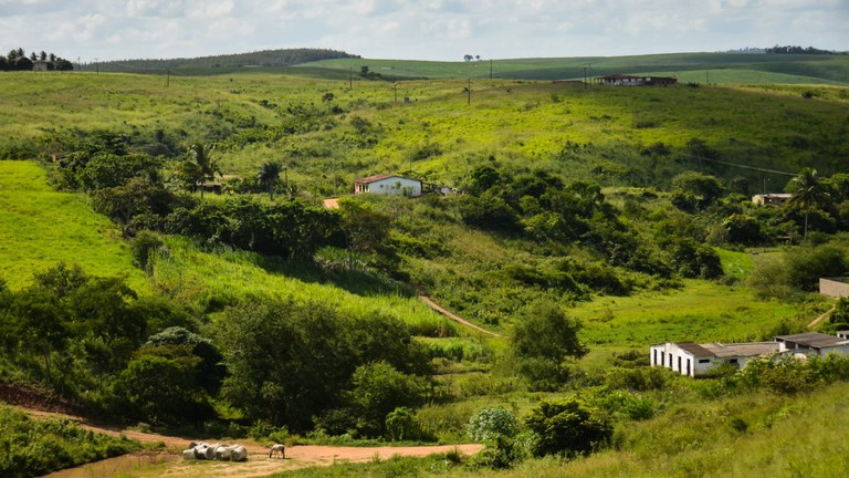 Justiça suspende leilão de imóvel em conflito fundiário em Pernambuco