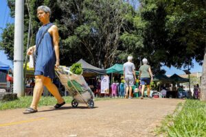 Plano Piloto abre chamamento público para feirantes de três feiras livres