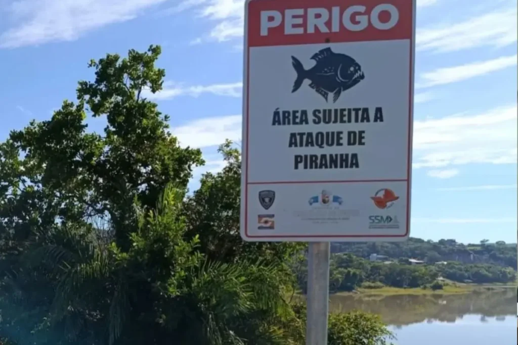 Menina de 7 anos é mordida por piranhas em lago de Caldas Novas