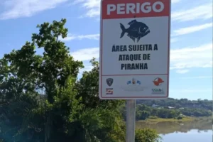 Menina de 7 anos é mordida por piranhas em lago de Caldas Novas
