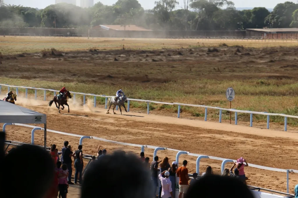Hipódromo da Lagoinha retoma corridas de cavalos