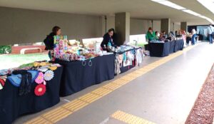 Feira Raízes do Entorno homenageia Dia da Mulher com artesanato da Ride