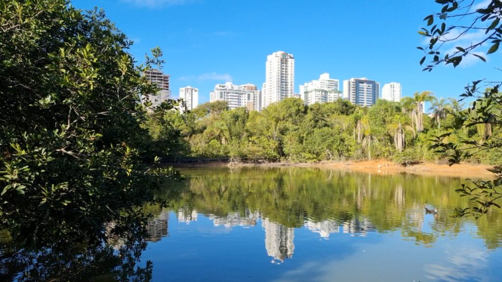 Instituto remove 57 comedouros de parque em Águas Claras para proteger fauna