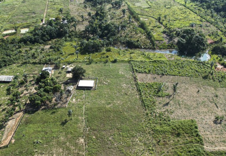 MMA promove seminário sobre resolução que uniformiza autorizações de supressão de vegetação