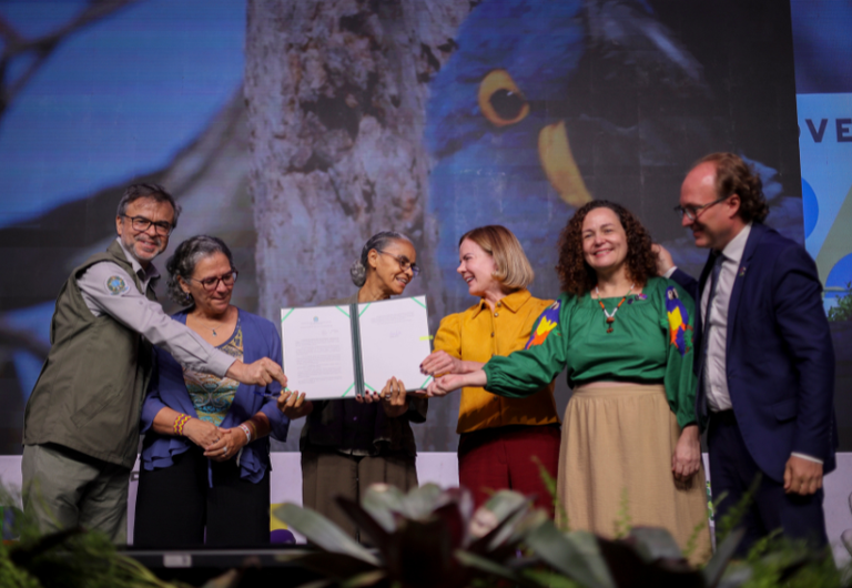 Governo anuncia conferência e multas ampliadas para proteção animal