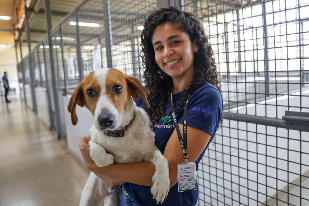 Cães resgatados há mais de um ano na Zoonoses do DF aguardam adoção