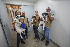 GDF investe em saúde e prevenção para animais domésticos e silvestres