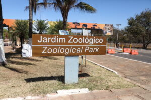 Zoológico de Brasília libera entrada grátis para mulheres neste sábado