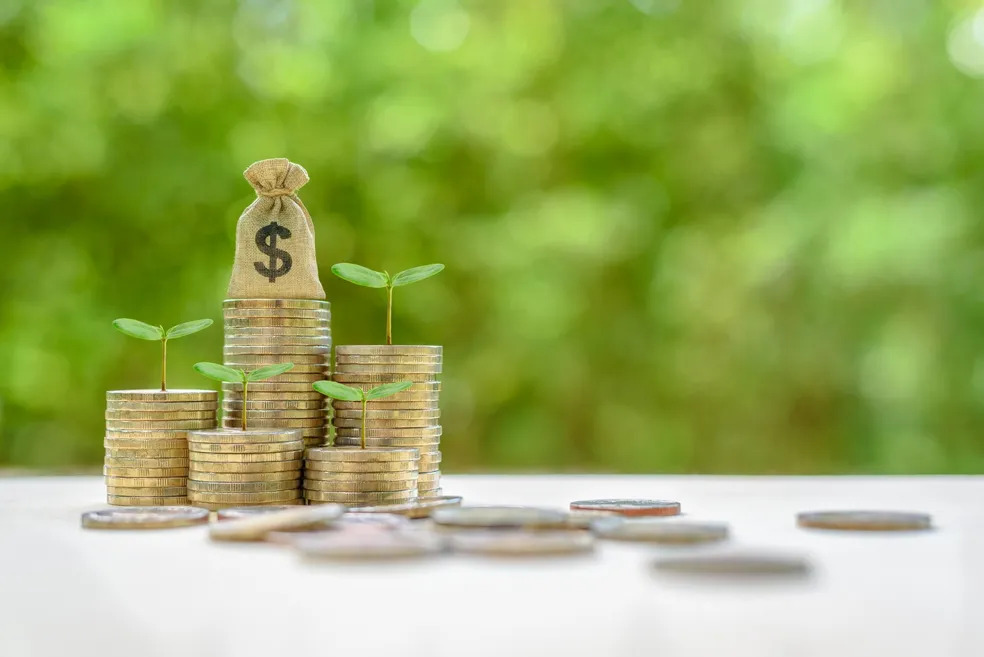 Fundo Verde aprova US$ 85 milhões para soja sustentável no Cerrado