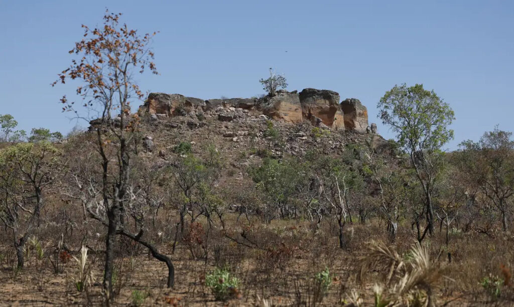 IA mapeia terras agrícolas abandonadas no Cerrado para restauração