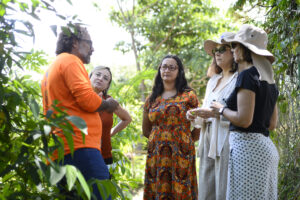 Hortos agroflorestais do DF recebem visita da ONU por iniciativa de segurança alimentar