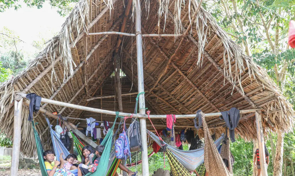 Parakanã reocupa território indígena no Pará após desintrusão