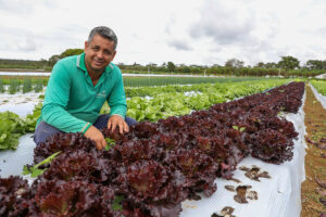 Emater-DF amplia em 24% assistência a produtores rurais no DF desde 2019