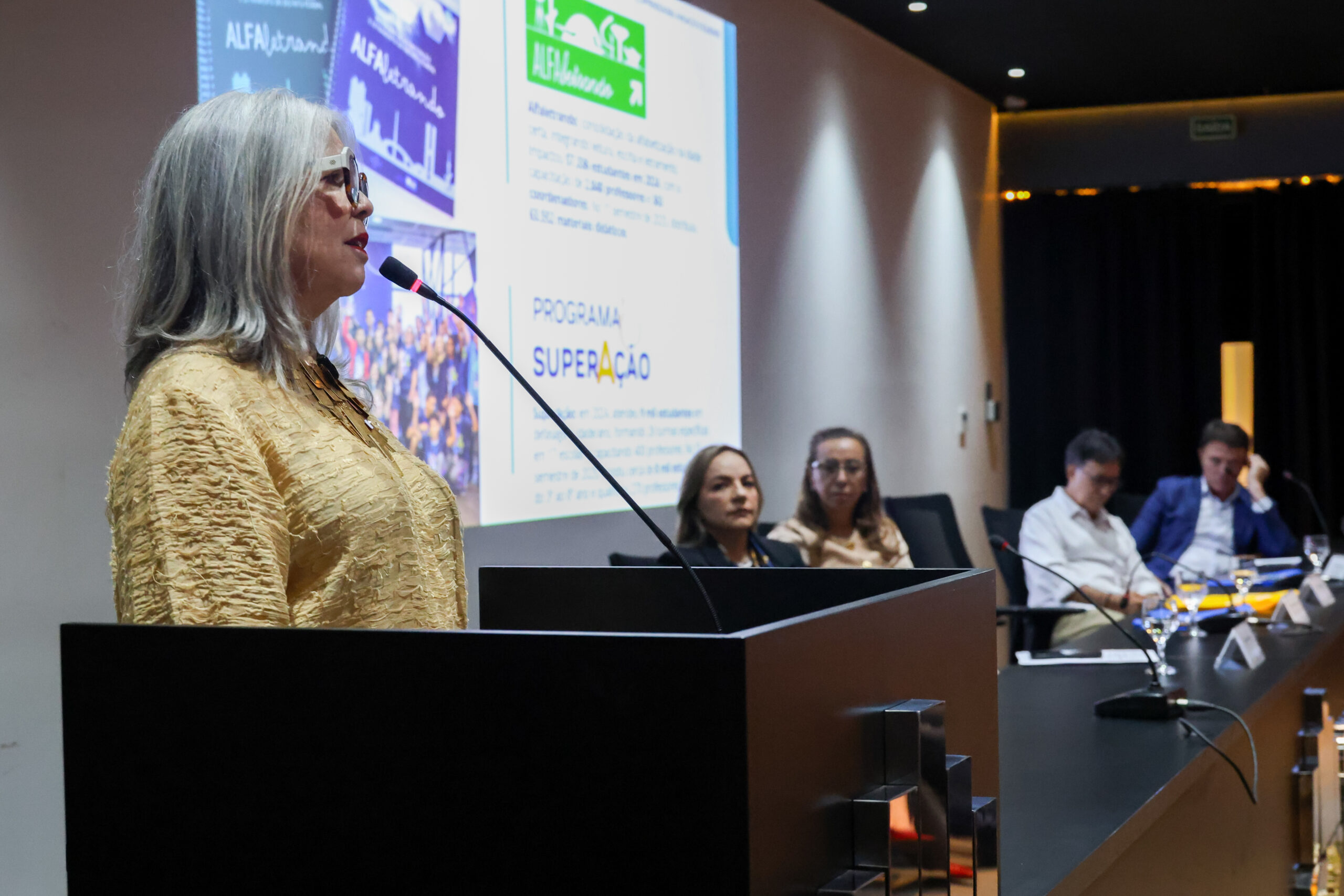 Secretária de Educação do DF apresenta balanço de gestão ao Codese