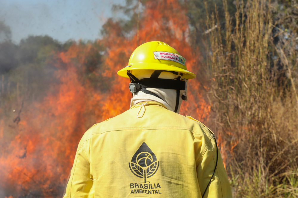 Brigadistas florestais discutem melhorias salariais com gestores em Brasília
