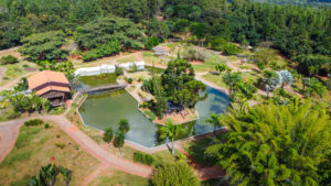 Jardim Botânico de Brasília tem programação especial de 41 anos