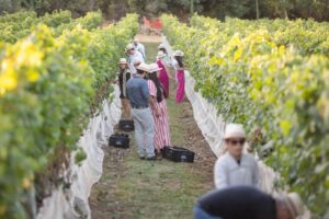 Emater-DF lança catálogo com produtos e experiências de turismo rural