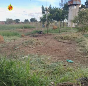 Homem é detido por invasão e parcelamento irregular de área pública em Planaltina