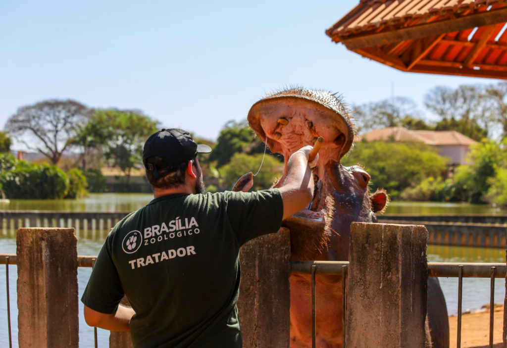 Zoológico de Brasília abre seleção para mais de 50 vagas de voluntários