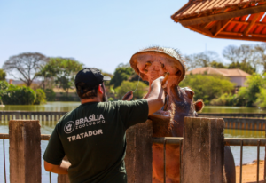 Zoológico de Brasília abre seleção para mais de 50 vagas de voluntários