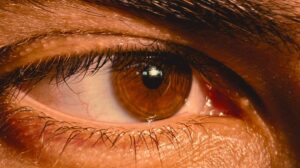 Pesquisa apoiada pela FAPDF estuda circulação de líquido no sistema ocular