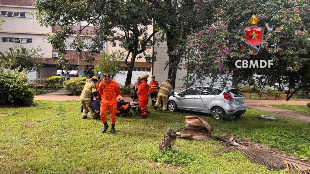 Motorista idoso fica ferido após carro atingir árvore na W2 Sul