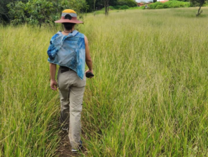 Inscrições abertas para comitê de trilhas ecológicas no DF