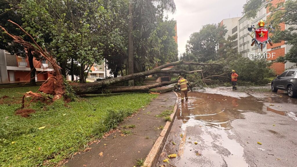 Temporal castiga o DF e mobiliza bombeiros em série de ocorrências