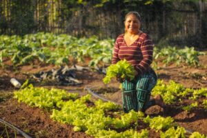 Mulheres lideram famílias em programas sociais rurais do MDS