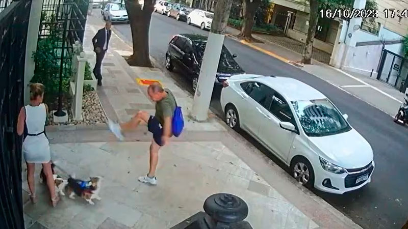 Justiça condena aposentado por agredir cães de irmã do ministro Zanin, do STF