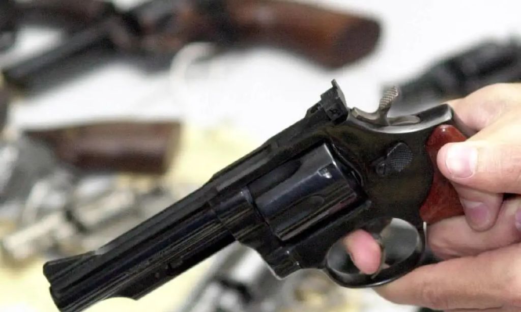 Câmara debate porte de arma para auditores fiscais agropecuários