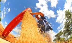 STF volta a suspender julgamento sobre moratória da soja