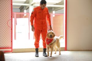Comitiva nacional visita centro de treinamento de cães assistentes do CBMDF