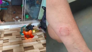 Mulheres se agrediram - (Foto: Reprodução)