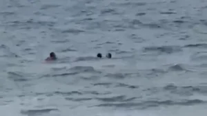 Bombeiro resgatando casal - (Foto: reprodução/redes sociais)