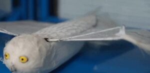 Como funciona o novo drone chinês que voa batendo asas como um pássaro